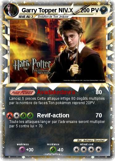 Pokemon Garry Topper NIV.X