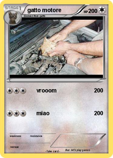 Pokemon gatto motore