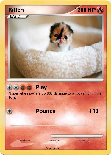 Pokemon Kitten                                 1