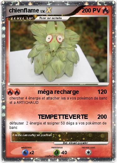 Pokemon chienflame