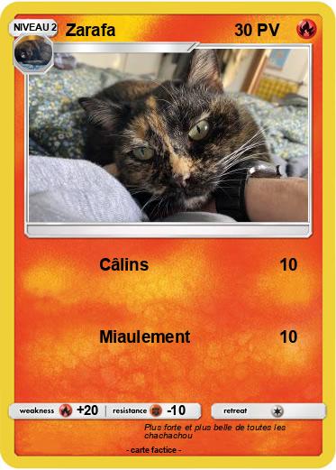 Pokemon Zarafa