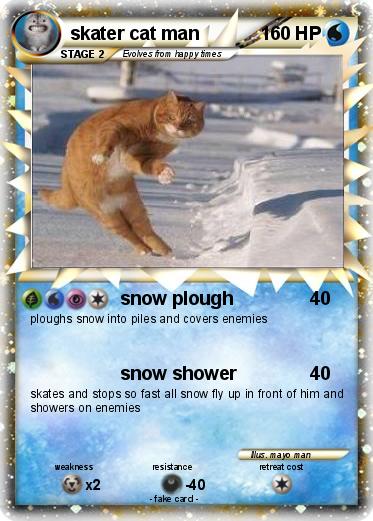 Pokemon skater cat man