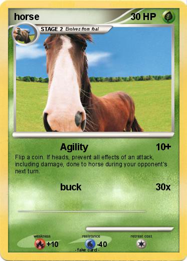 Pokemon horse