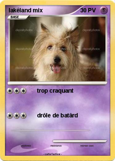 Pokemon lakéland mix