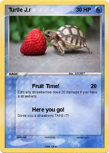 Pokemon Turtle J.r