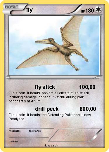 Pokemon fly