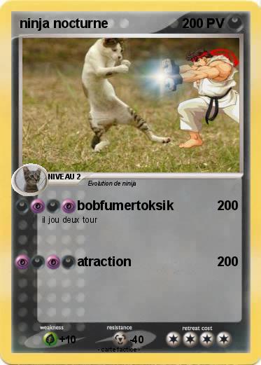 Pokemon ninja nocturne