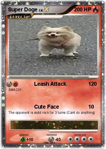 Pokemon Super Doge