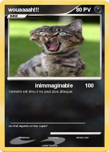 Pokemon wouaaaah!!!