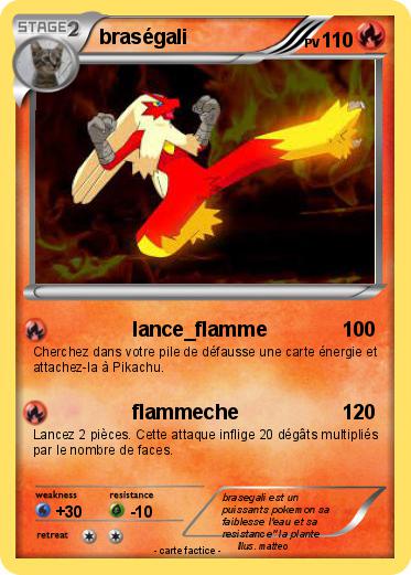 Pokemon braségali