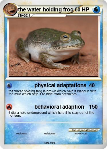 Pokemon the water holding frog