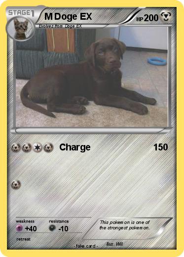 Pokemon M Doge EX