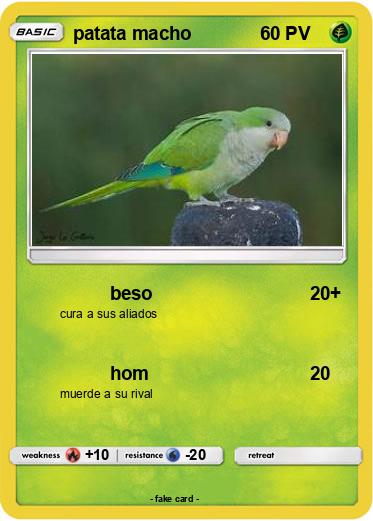 Pokemon patata macho