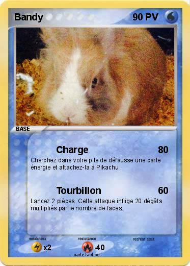 Pokemon Bandy