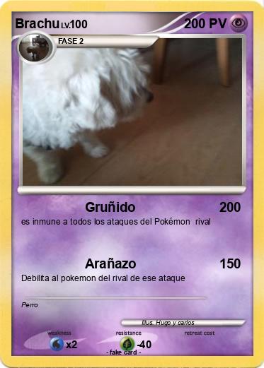 Pokemon Brachu