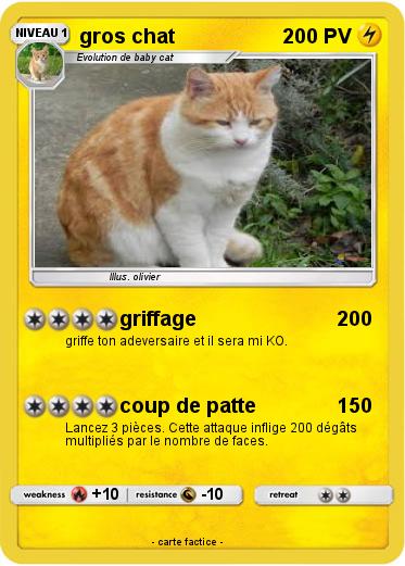 Pokemon gros chat