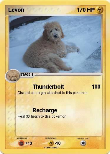 Pokemon Levon