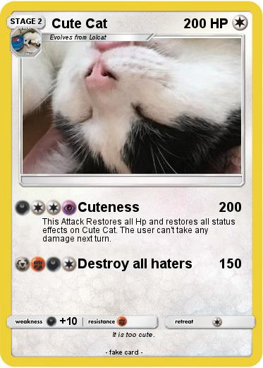 Pokemon Cute Cat
