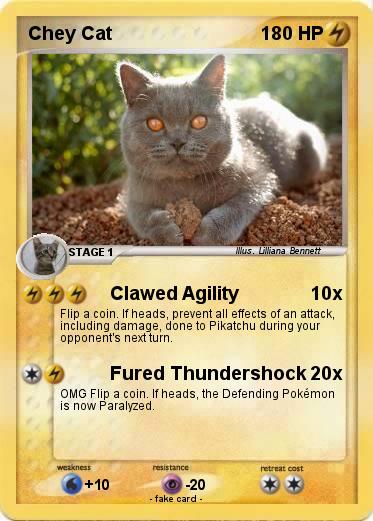 Pokemon Chey Cat