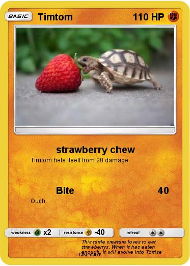 Pokemon Timtom