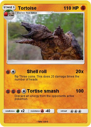 Pokemon Tortoise