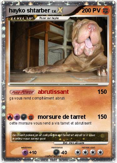 Pokemon hayko shtarber