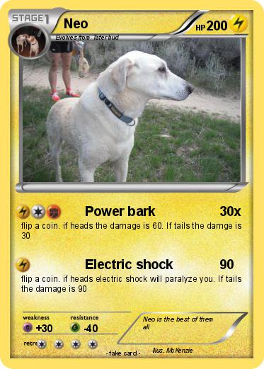 Pokemon Neo