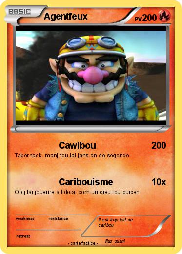 Pokemon Agentfeux