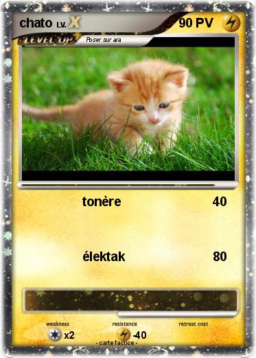 Pokemon chato