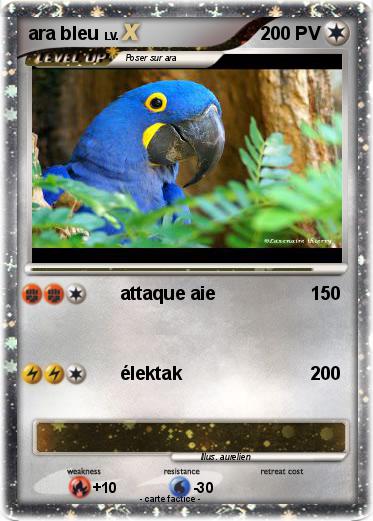 Pokemon ara bleu