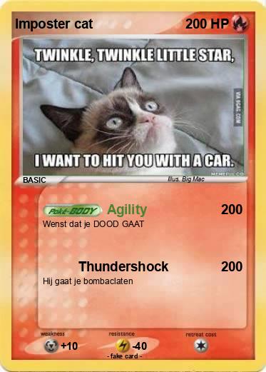 Pokemon Imposter cat