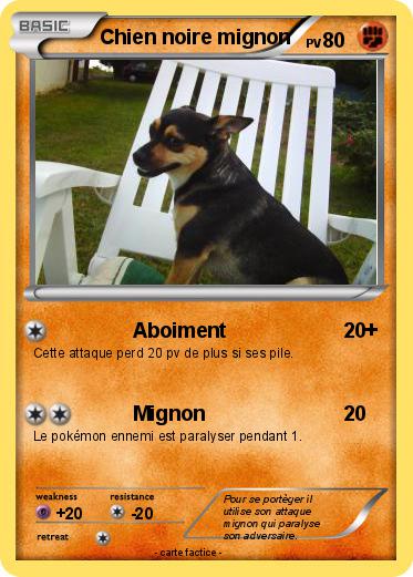 Pokemon Chien noire mignon