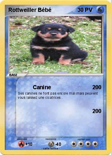 Pokemon Rottweiller Bébé