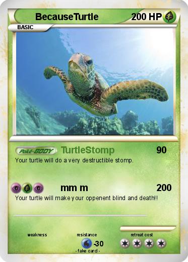 Pokemon BecauseTurtle
