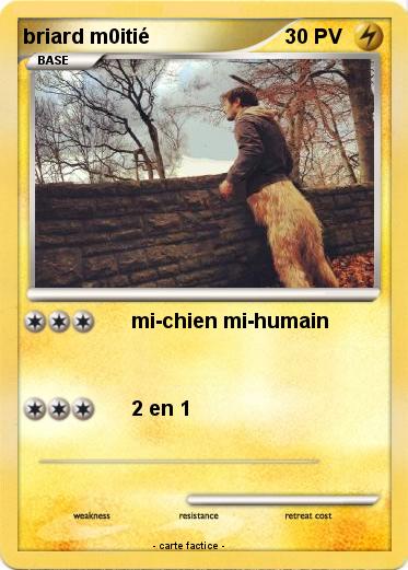 Pokemon briard m0itié