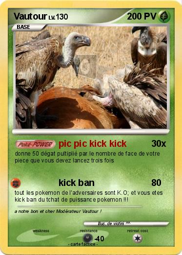 Pokemon Vautour