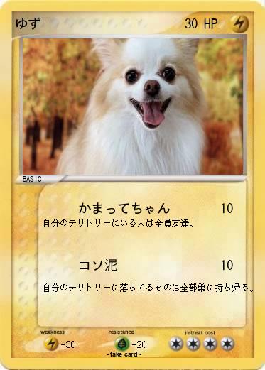 Pokemon ゆず