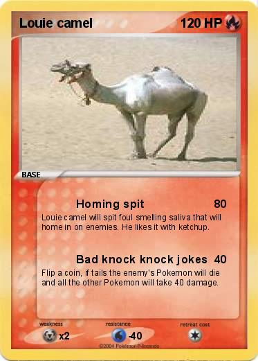 Pokemon Louie camel