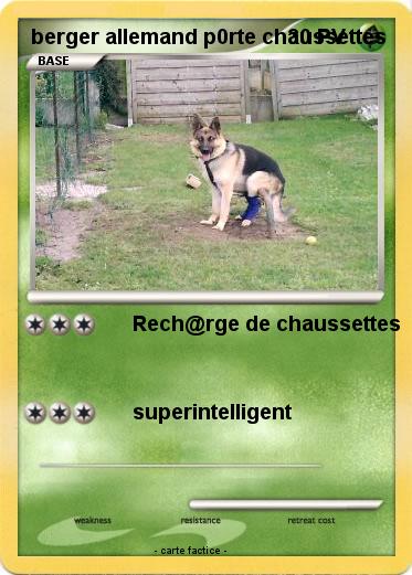 Pokemon berger allemand p0rte chaussettes