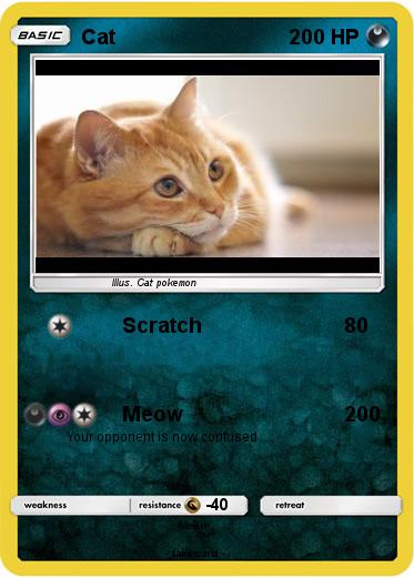 Pokemon Cat