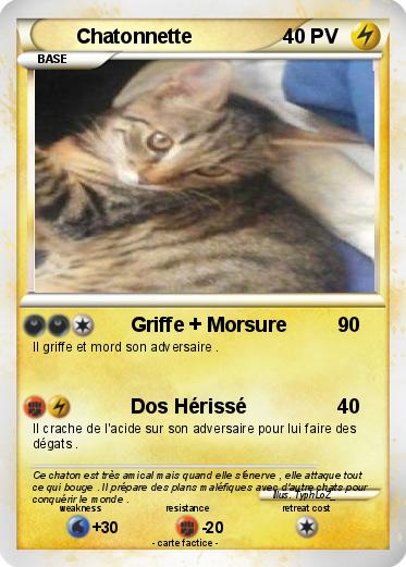 Pokemon Chatonnette