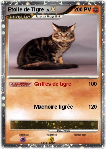 Pokemon Etoile de Tigre