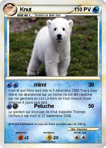 Pokemon Knut