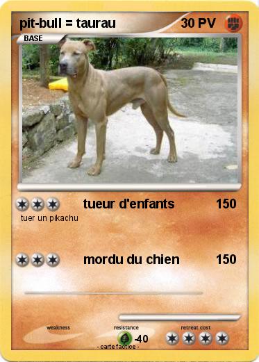 Pokemon pit-bull = taurau