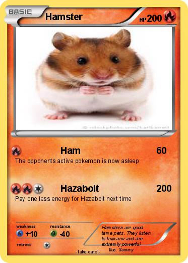 Pokemon Hamster