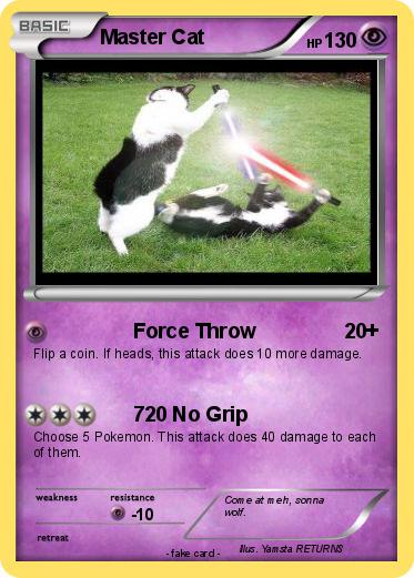 Pokemon Master Cat