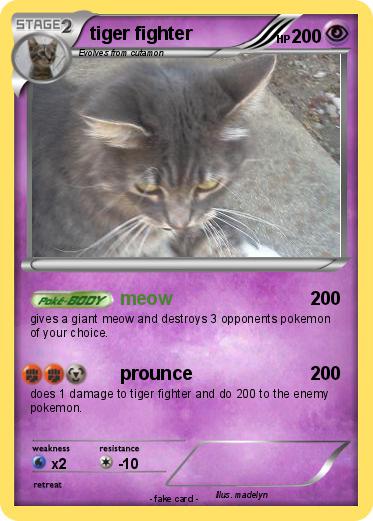 Pokemon tiger fighter