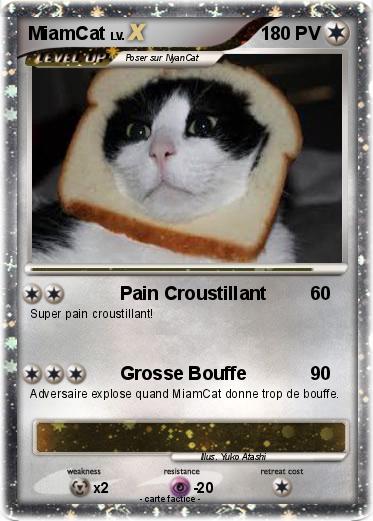 Pokemon MiamCat