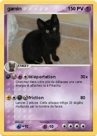 Pokemon gamin