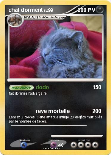 Pokemon chat dorment
